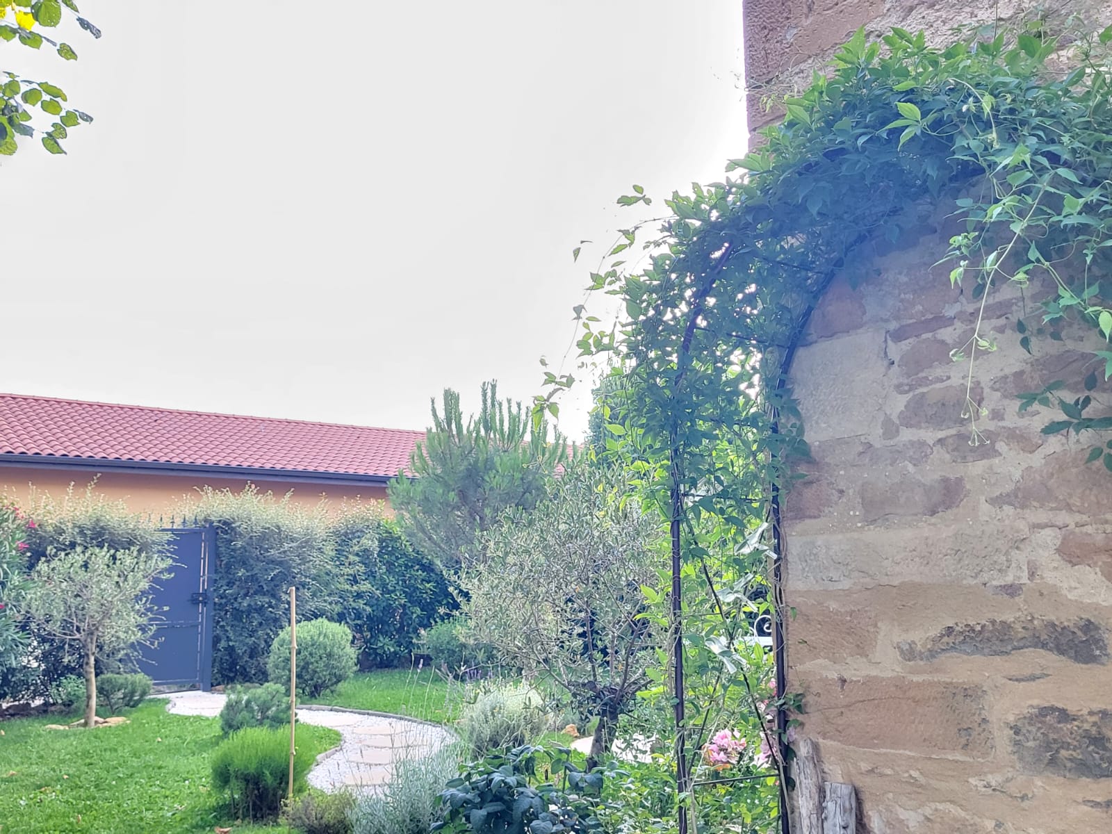 Aménagement du jardin